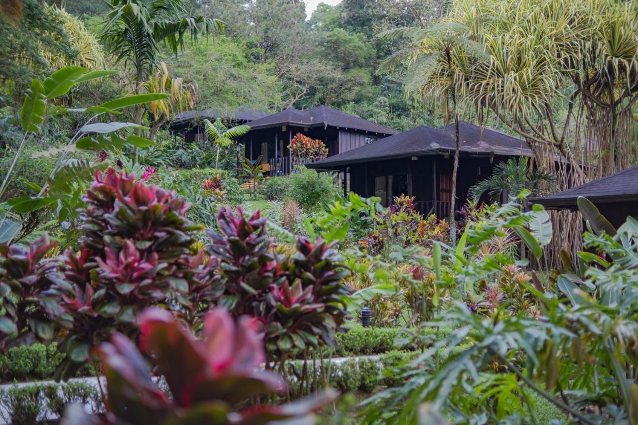 Hotel Lomas Del Volcan Ла Фортуна Экстерьер фото